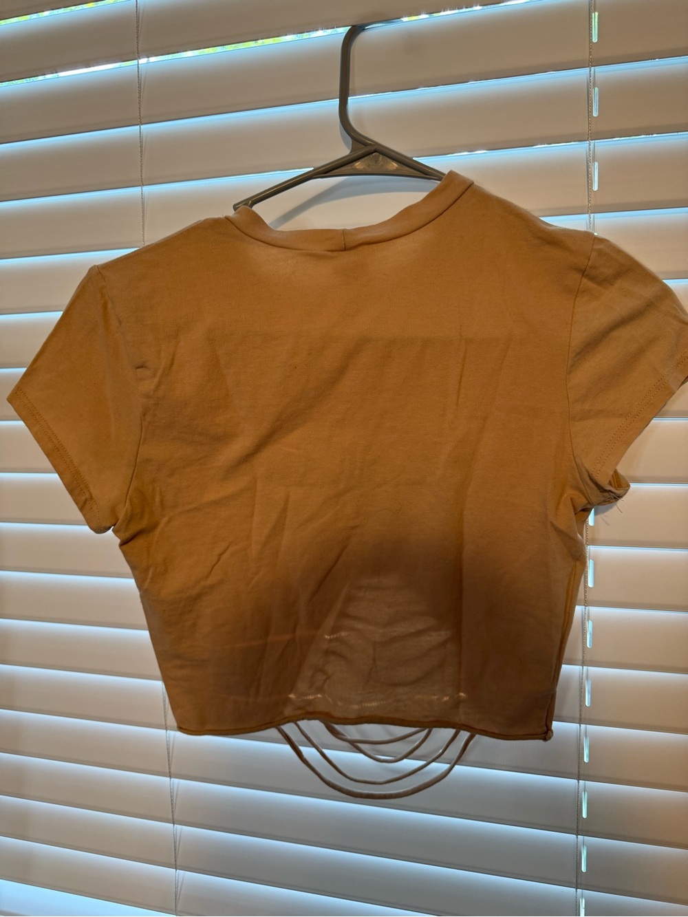 Windsor Tan Graphic American Motorcycle Crop Top - Picture 2 of 4